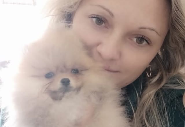 Maple, Pomeranian puppy adopted by Farah A.